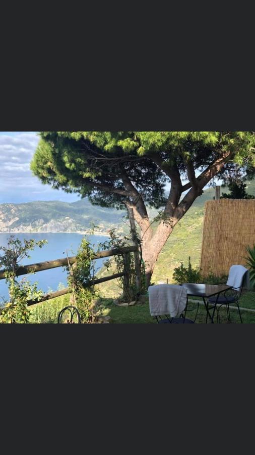 Casa Valeria Vernazza Kültér fotó